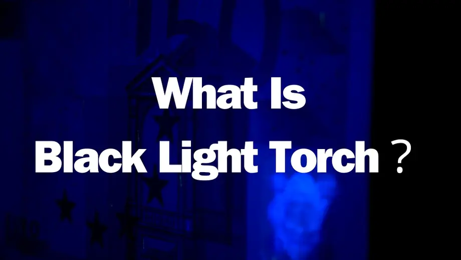 What Is Black Light Torch? Unveiling Mysteries Hidden in Dark